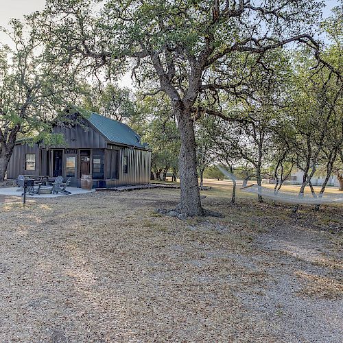 A rustic cabin surrounded by trees with a hammock strung between two trees and outdoor seating visible beside the cabin.