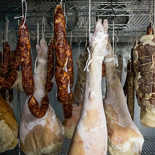 Hanging meats in a curing room, including sausages and legs of ham, possibly prosciutto or similar, on metal racks with visible aging.