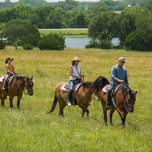 Four people on horseback ride through a lush, green meadow with trees and a lake in the background. The riders are dressed casually and enjoying the scenery.