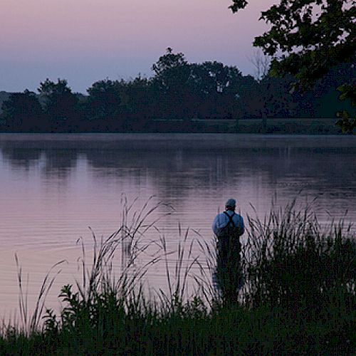 A person is standing in a lake near the shoreline, surrounded by tall grass, with a serene landscape in the background during twilight.