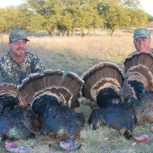 Two individuals in camouflage clothing are sitting outdoors with four turkeys laid out in front of them.