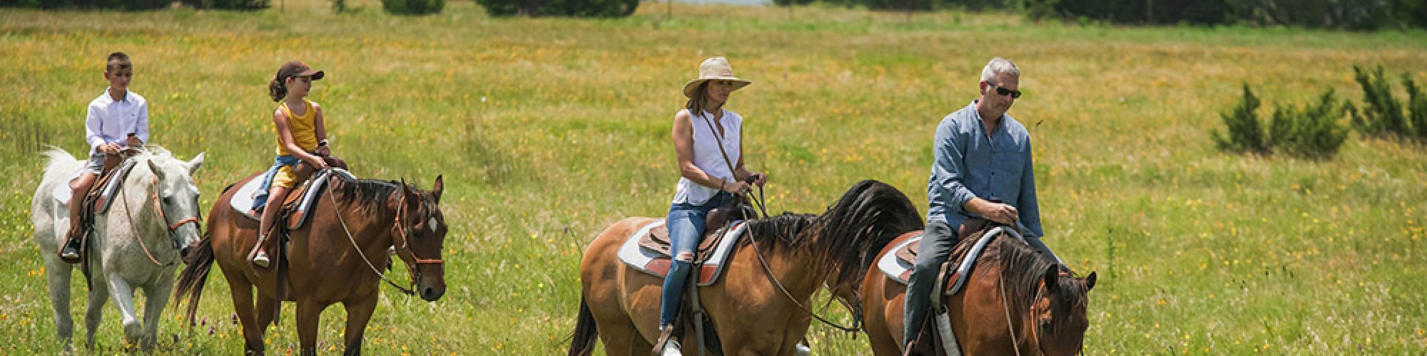 Four people are riding horses in a lush, green field with trees and a distant water body under a slightly cloudy sky.