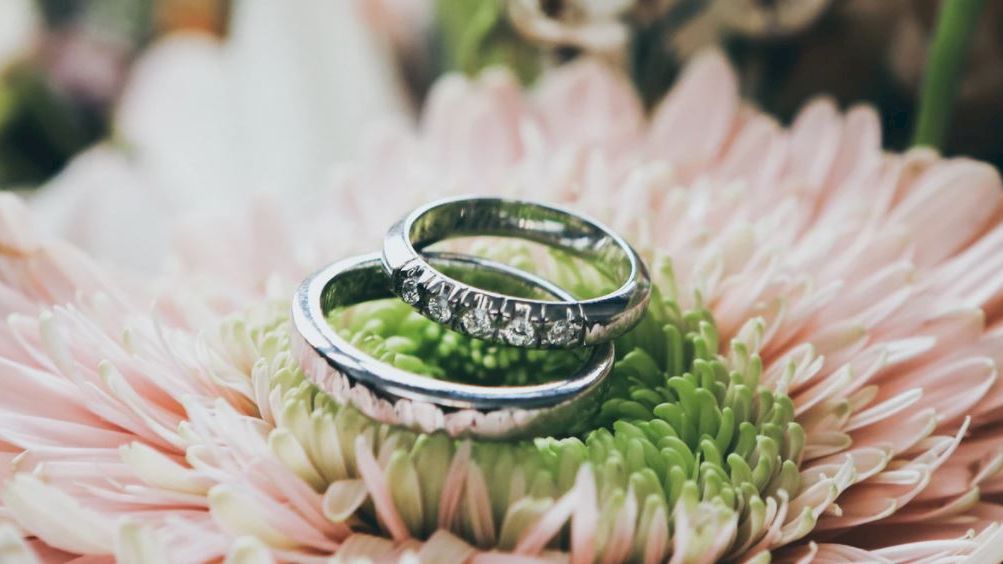 Two silver wedding rings rest on soft pink and white flowers in a romantic close-up.