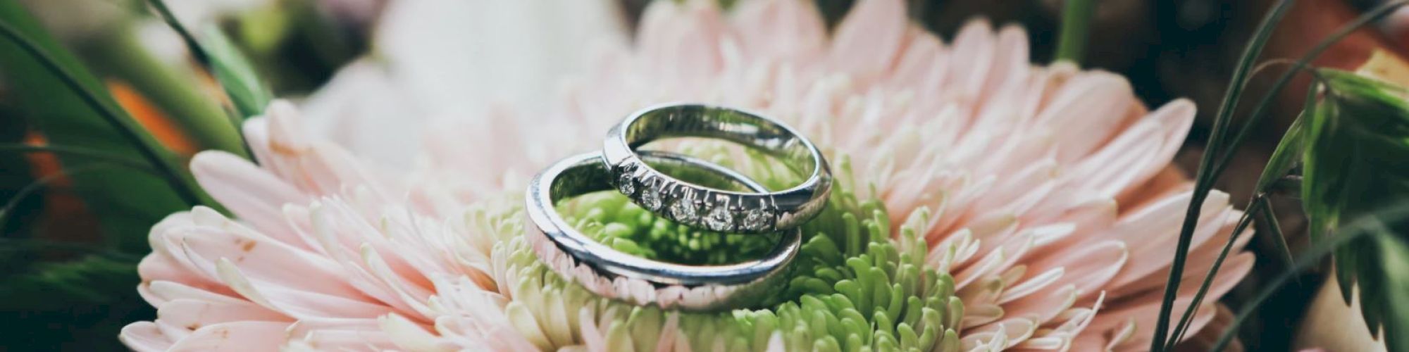 Two wedding rings are placed on top of a pink flower with green center.