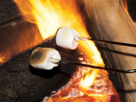 Two marshmallows are being roasted over a campfire using metal skewers, with flames visible in the background.