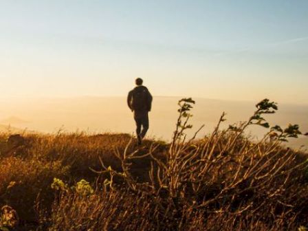 A person is walking in a scenic area with tall grass and bushes during sunset or sunrise, with a clear sky overhead.