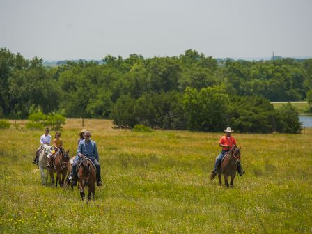 A group of four people is riding horses through an open grassy field on a sunny day, with trees in the background.
