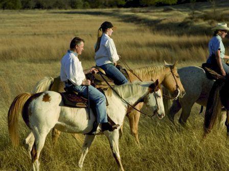 Three people are horseback riding in a grassy field. They all appear to be wearing casual attire suitable for riding.