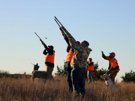 A group of hunters wearing orange vests aims rifles skyward in a grassy field with a clear blue sky.