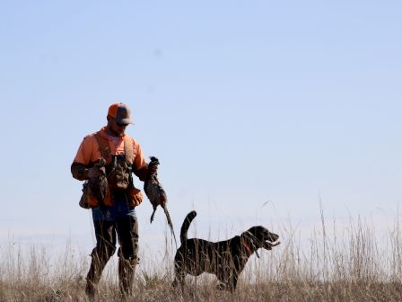 Rough Creek Lodge, Ranch & Resort