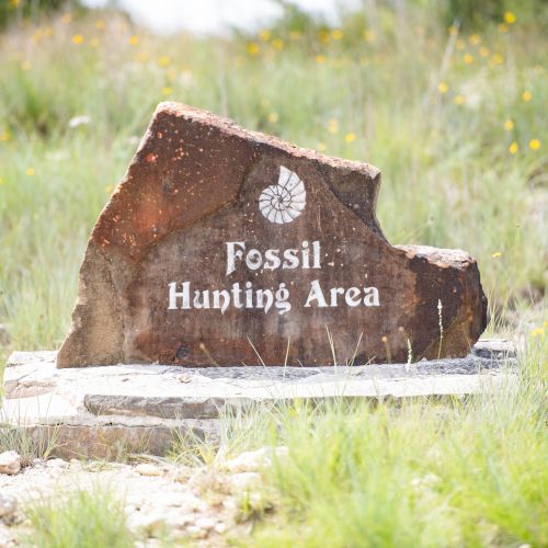 A stone sign in a grassy area reads "Fossil Hunting Area" with an ammonite symbol above the text.