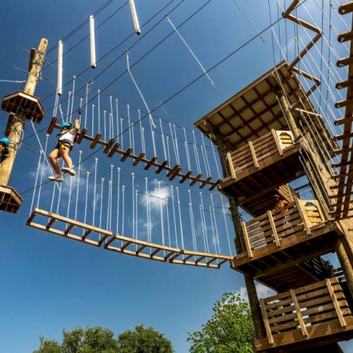 People navigating a high ropes course with wooden platforms and climbing structures against a blue sky.