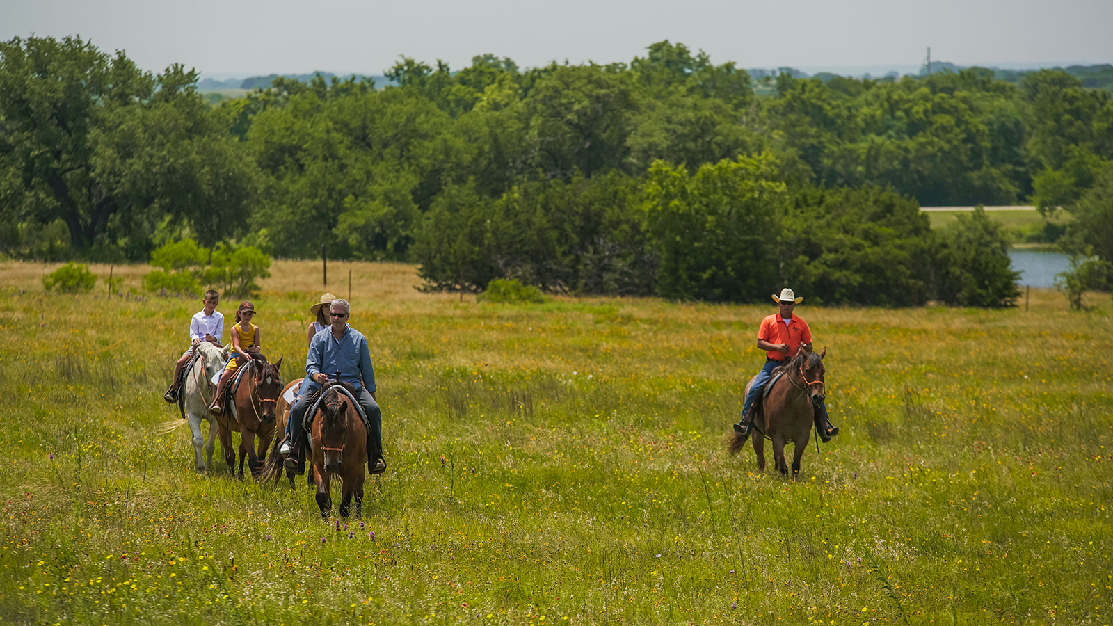 People riding horses across a grassy field with trees in the background, creating a tranquil outdoor scene.