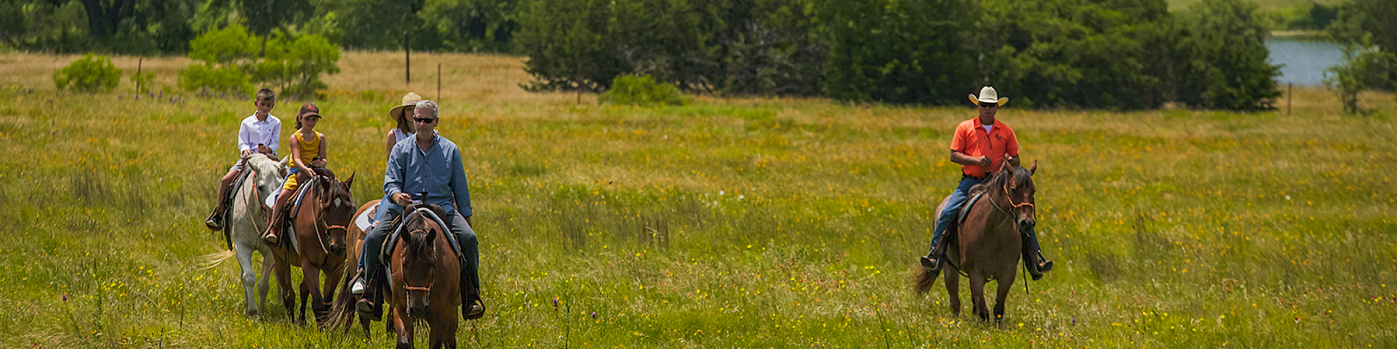 People riding horses across a grassy field with trees in the background, creating a tranquil outdoor scene.