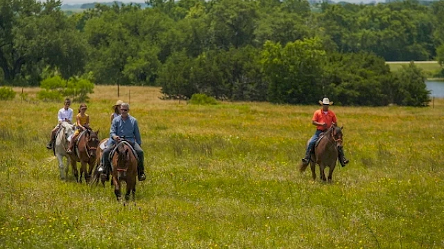 People are horseback riding through a grassy field with trees in the background under a clear sky.