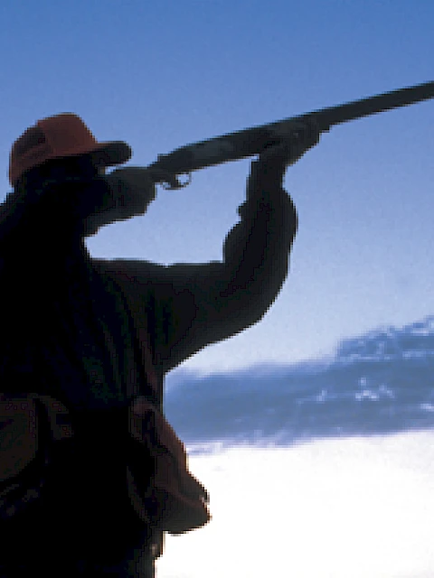 Silhouette of a person aiming a shotgun against a twilight sky backdrop, wearing a cap and vest.