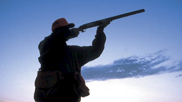 Silhouette of a person aiming a shotgun against a twilight sky backdrop, wearing a cap and vest.