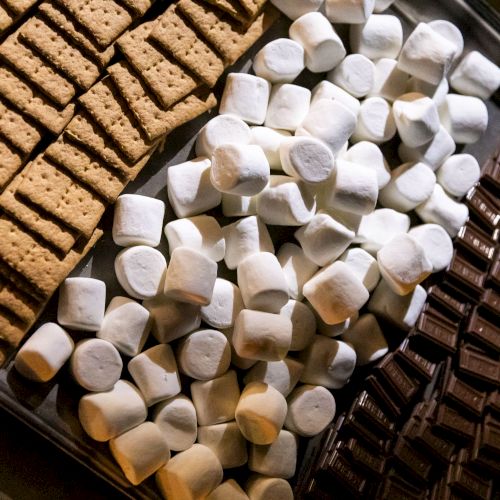 Small white and light brown sugar cubes spilled from a wooden scoop onto a dark surface.