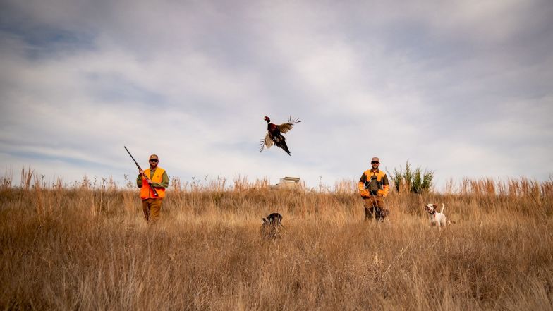 Three people in a field with dogs; a bird is mid-flight between them, two hunters with gear watch the scene.