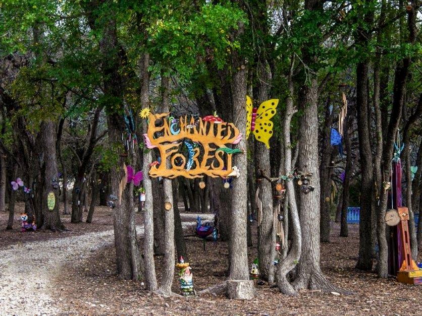 A forest with a carved wooden sign reading &ldquo;Tropical Forest&rdquo; or similar, butterflies and colorful decor hanging among the trees.
