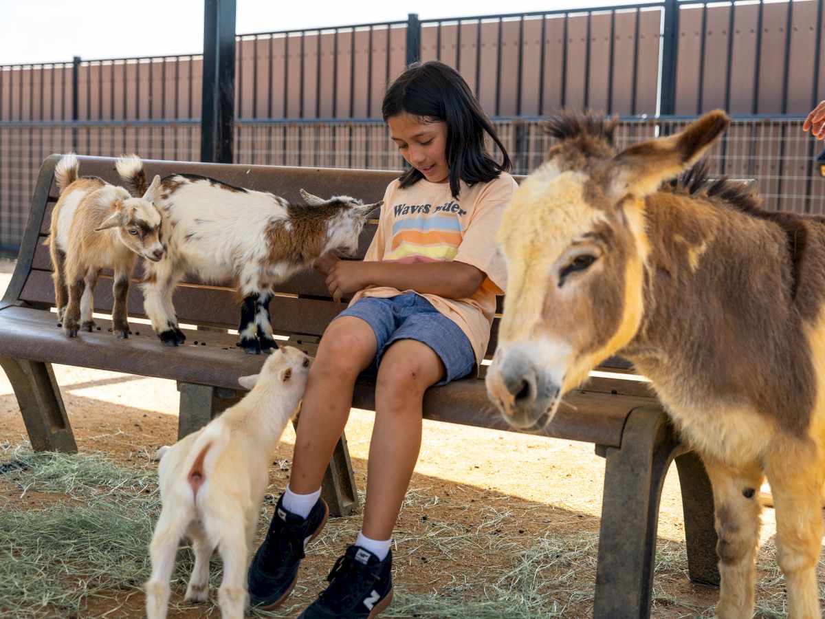 A girl sits on a bench feeding a small white puppy while a donkey nuzzles her, with other goats nearby.