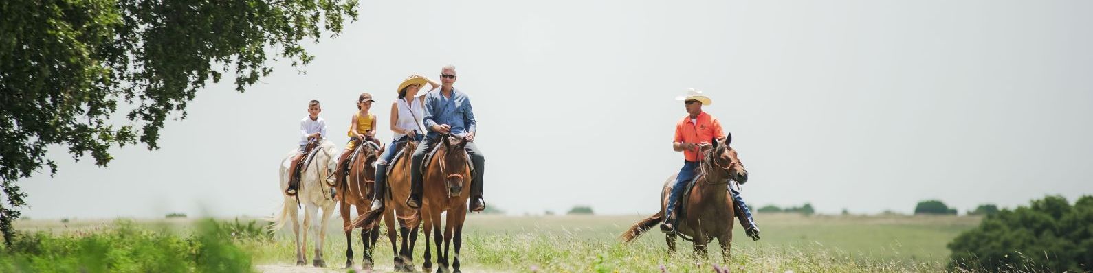 A group of four people riding horses across a flat, grassy field near a tree on a sunny day. The riders are wearing casual shirts and hats, with one rider in red.